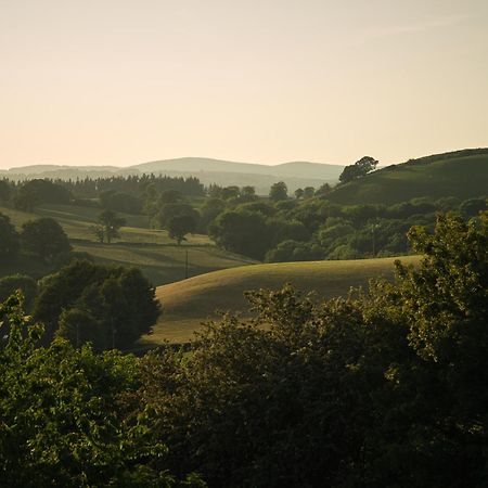 Upper Gelli Luxury Holiday Lodge, Converted Dairy & Cosy Shepherds Huts 威尔斯浦 外观 照片
