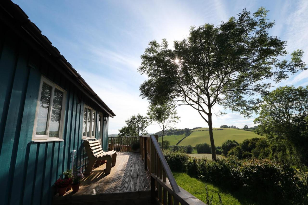 Upper Gelli Luxury Holiday Lodge, Converted Dairy & Cosy Shepherds Huts 威尔斯浦 外观 照片