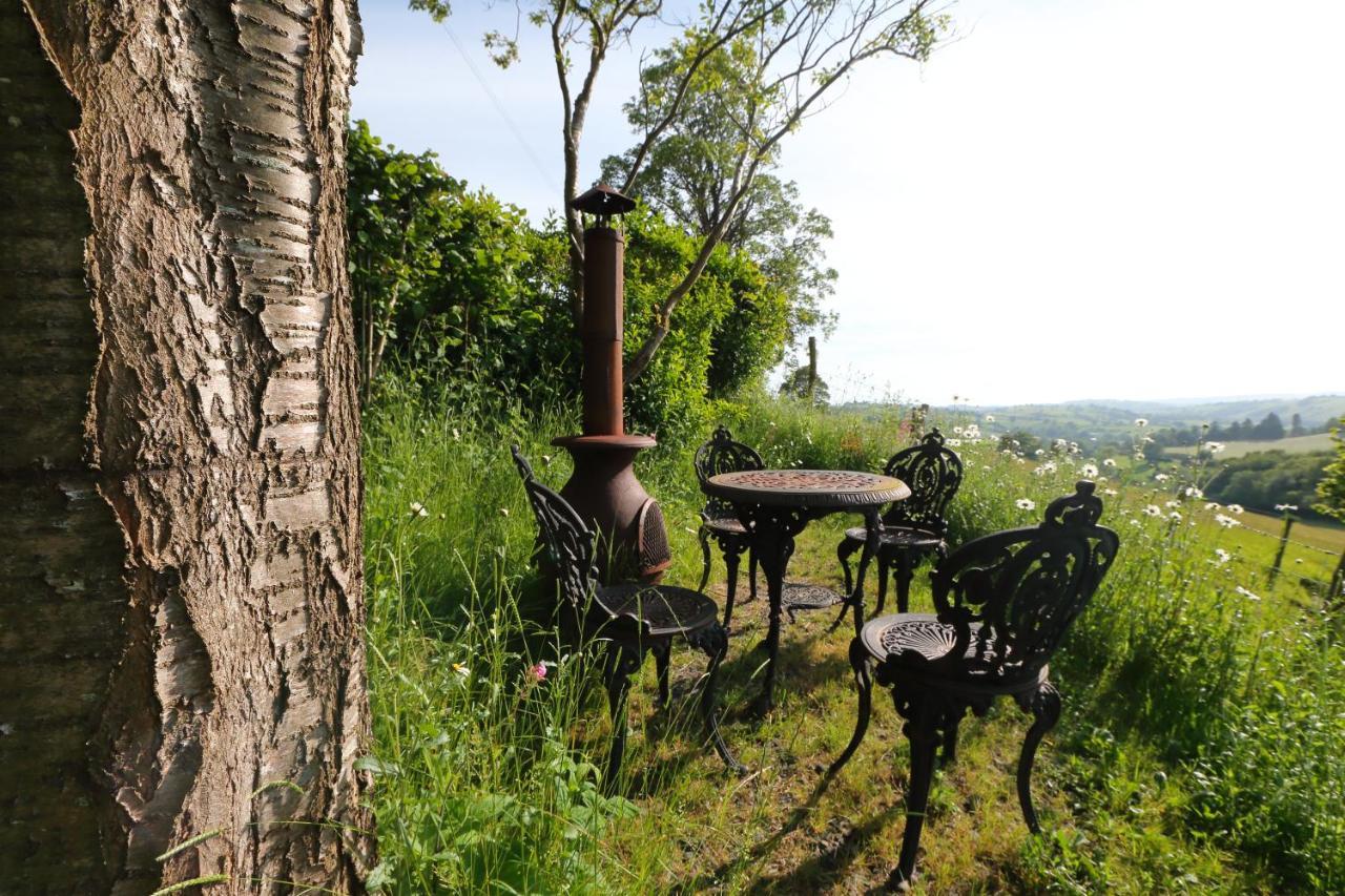 Upper Gelli Luxury Holiday Lodge, Converted Dairy & Cosy Shepherds Huts 威尔斯浦 外观 照片