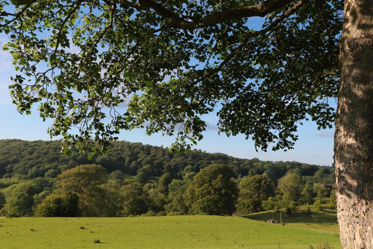 Upper Gelli Luxury Holiday Lodge, Converted Dairy & Cosy Shepherds Huts 威尔斯浦 外观 照片